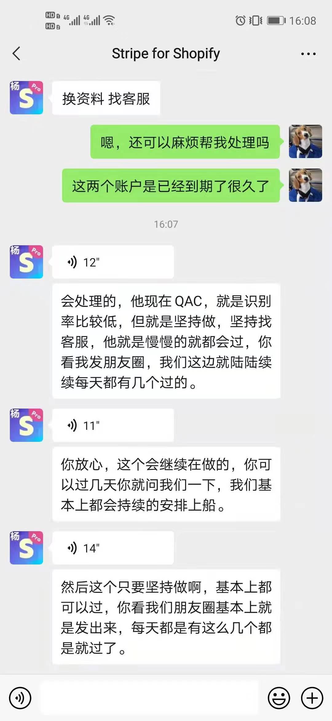 卧槽贵圈真乱-揭开stripe卖号圈